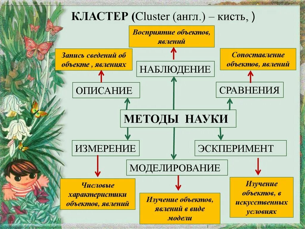 Методы изучения природы конспект