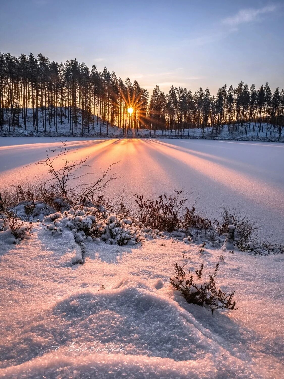 Вечер декабрь. Рассвет зимой. Рассвет в лесу зимой. Зимний рассвет пейзаж. Восход зимой.