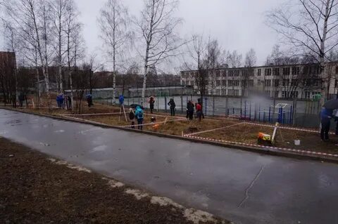 Сайт красноборского лесотехнического техникума