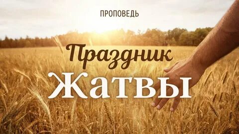 Проповедь о жатве