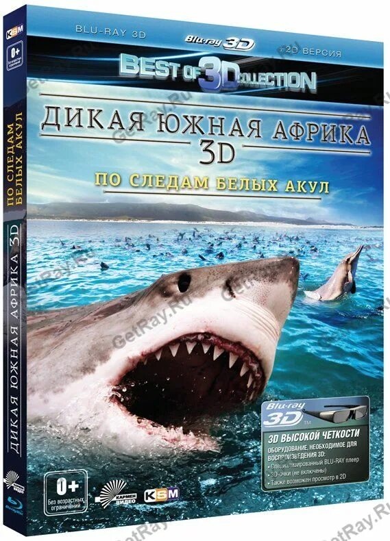 дом потом и акулы. Wild hearts игра 2023. дикая версия. дикая версия. дикая версия.