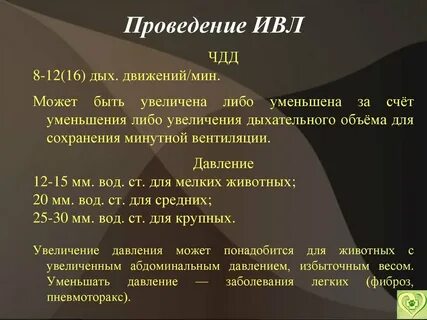 Проведение ивл