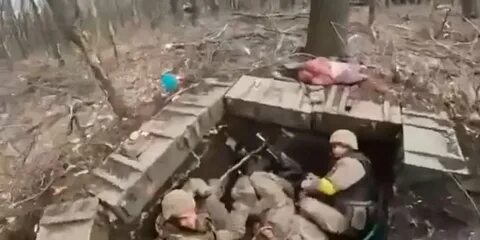 Спасло жизнь тысячам