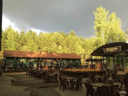 У лося ижевск