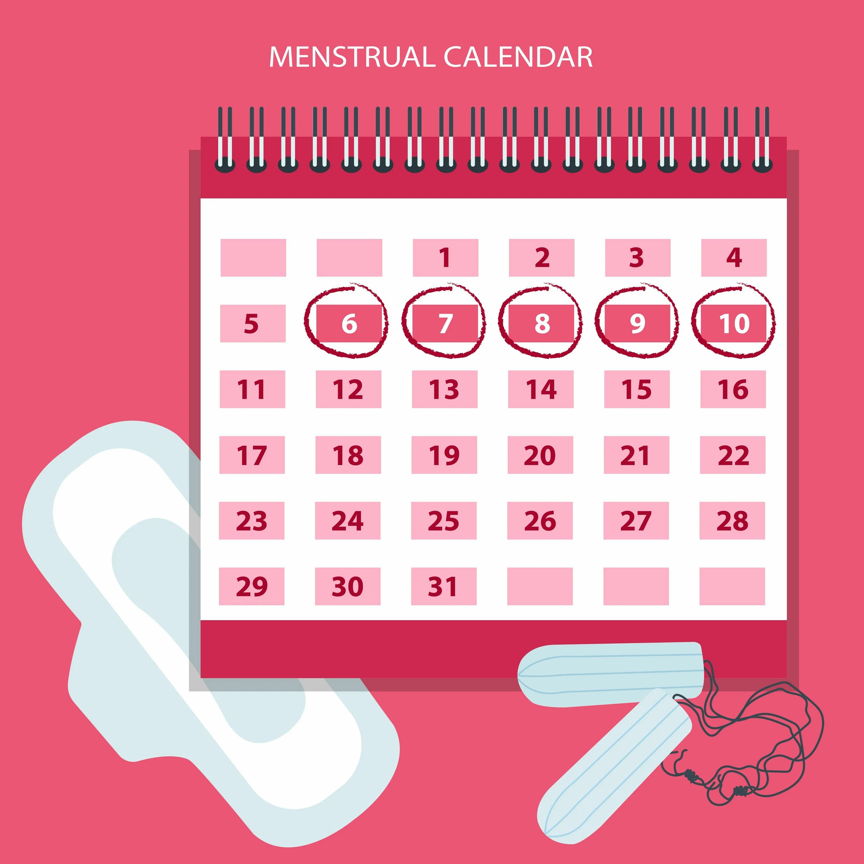 Календарь на моем телефоне. Календарь циклов менструационного цикла. Менструальный календарик. Менструальный календарь менструальный календарь. Календарь женских дней.