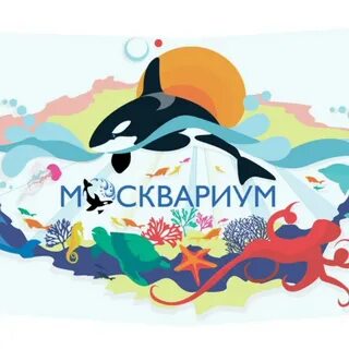 Москвариум сертификат