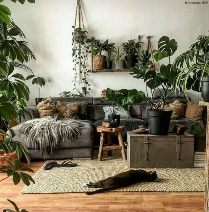 Бохо ботаника. Кафе в стиле бохо. Джинсовое вдохновение. Бохо ботаника. Бохо ботаника.