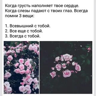 Песни хочешь я имя твое набью
