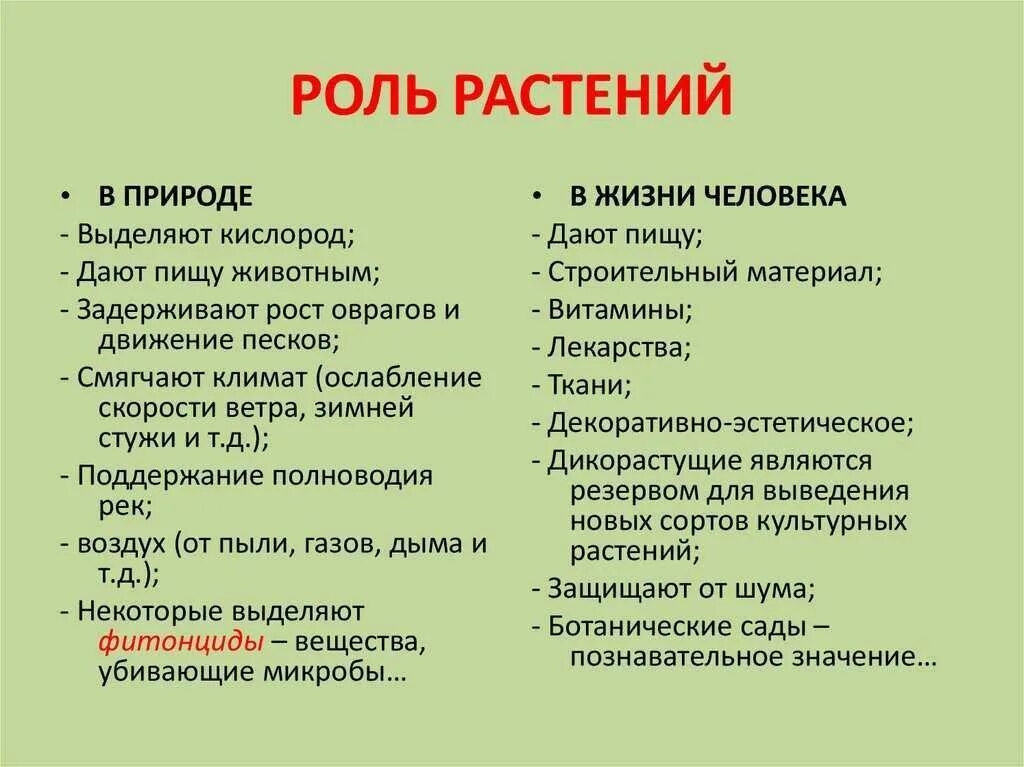 Расскажите о значении растений. Роль растений в жизни человека 6 класс. роль растений в природе и жизни человека 6 класс биология кратко. роль опмтений в природе. коль растений в природе.