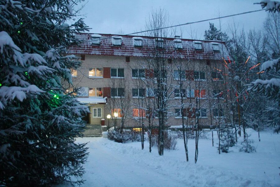 Лагерь зеленый город нижегородская. Дол "зеленый город им. Тамары Трушковской". Лагерь зелёный город в Ленинградской области. Каннельярви лагерь зеленый город.