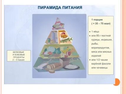 8 класс биология нормы и режим питания