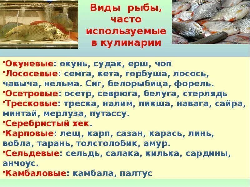 Какую рыбу можно давать кошкам
