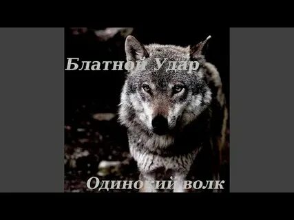 Слушать кучина волк одиночка
