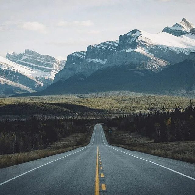 Слушать дорога в горы. Дорога в гору. дорога лес горы. красивая дорога. пейзаж горы и дорога.