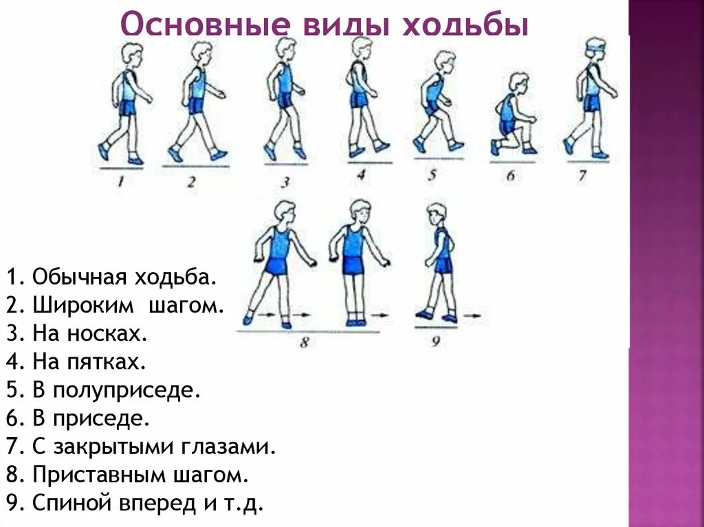 Разновидности ходьбы. Виды ходьбы на уроке физкультуры. Разновидности ходьбы упражнения. Упражнения типа ходьбы. 1 2 3 шагаем ноги