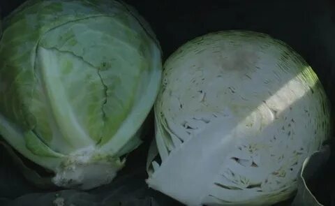 Капуста для квашения лучшие сорта