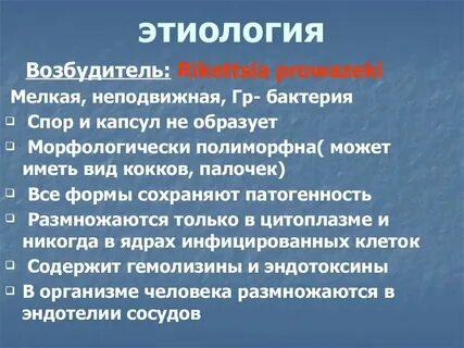 Сыпной тиф клещи