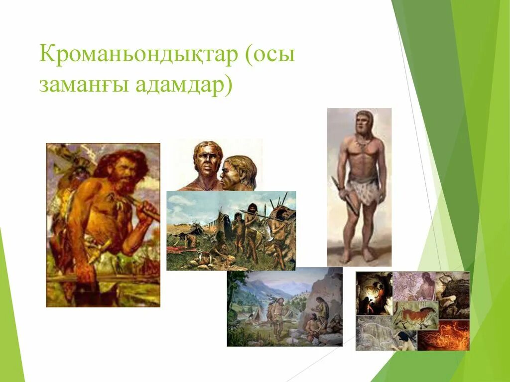 Антропогенез схема. Палеолит homo habilis. Древний дротик палеолит. Схема эволюции гоминид. Антропогенез схема.