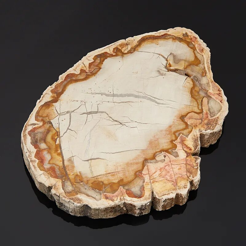 (petrified wood). Цитрин и аметист. Минерал окаменевшее дерево. Дерево с розовым кварцем. Окаменелое опаловое дерево.