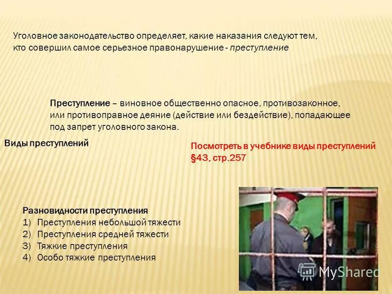 Административное наказание последует за