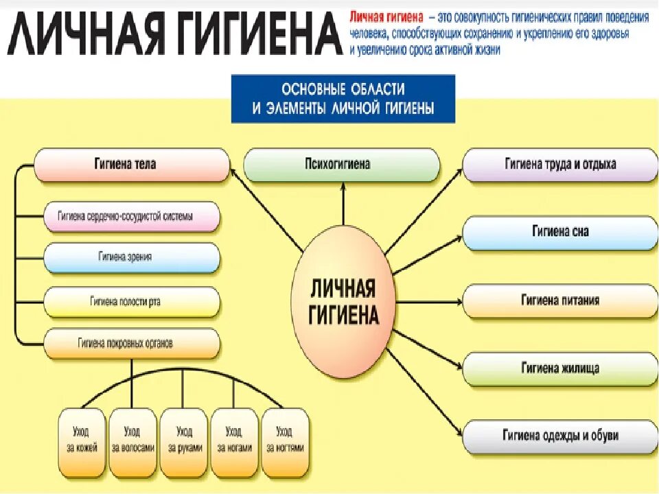 Составляющие личной гигиены человека. Таблица правил личной гигиены. Правила личной гигиены конспект. Личная гигиена схема.