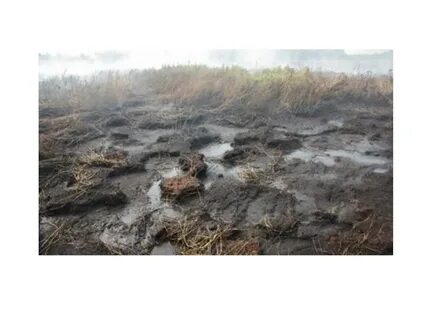 4 осушение болот в верховьях малых рек