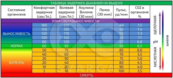 Таблица задержки дыхания на выдохе. Показатели задержки дыхания на выдохе. Таблица Бутейко задержек дыхания. Таблица по задержке дыхания. Задержка дыхания на выдохе норма