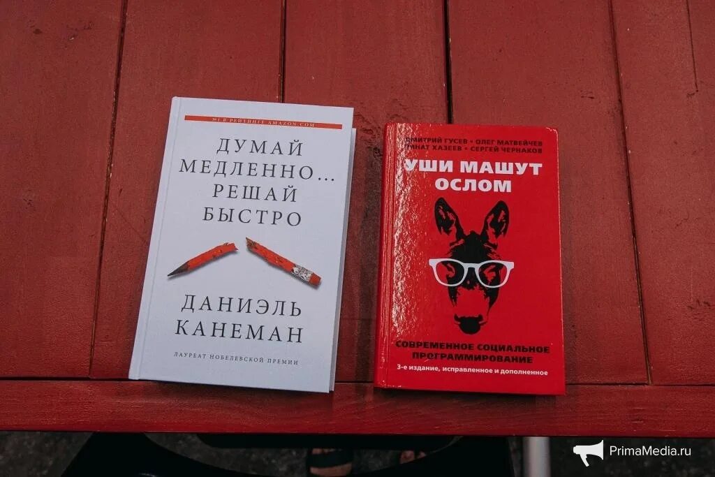 Включите свой мозг. Книгу включите мозги. Книги в эпоху интернета. Включи мозг книга. Прокачай мозг.