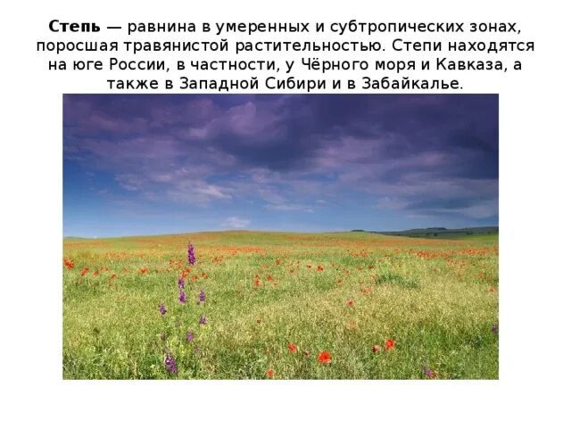 Зона степей зона степей. Природные зоны России степь. Расположение зоны степей. Степь расположена в умеренном.