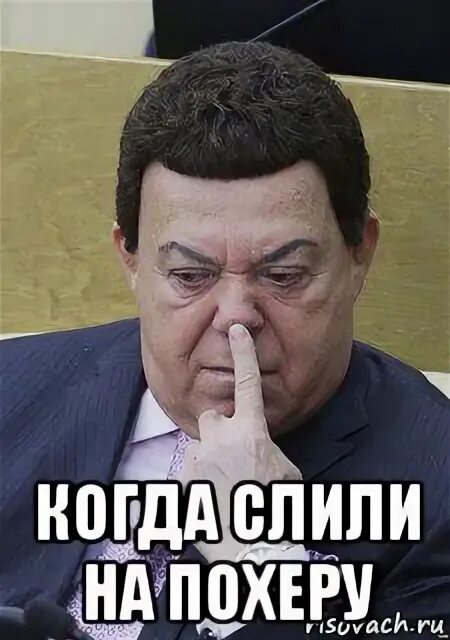 Чешишь. Чешишь. Кобзон мем. Волосы для детей. Похера.