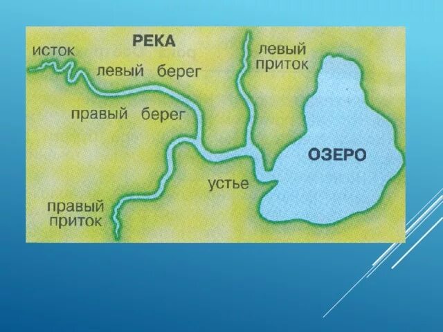 Схема реки 2 класс окружающий мир. Схема части реки 2 класс окружающий мир. Части реки окружающий мир 2 класс. Исток Устье приток схема. Тест части реки