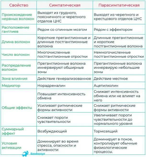 Отличие сво от кто. Сравнительная характеристика отделов вегетативной нервной системы. Строение отделов вегетативной нервной системы таблица. Сравнение симпатической и парасимпатической нервной системы таблица. Характеристика отдела вегетативной нервной системы таблица.