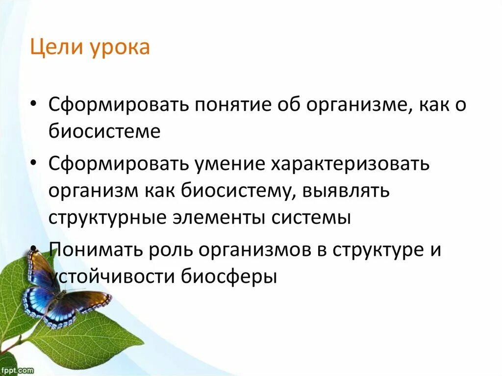 Организм открытая Живая система биосистема. Организм как биосистема. Биологические системы презентация. Организм открытая Живая система биосистема презентация.