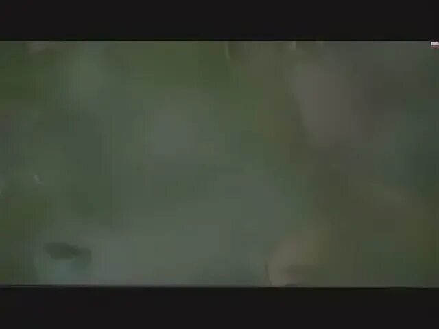 Маятник качнется градский