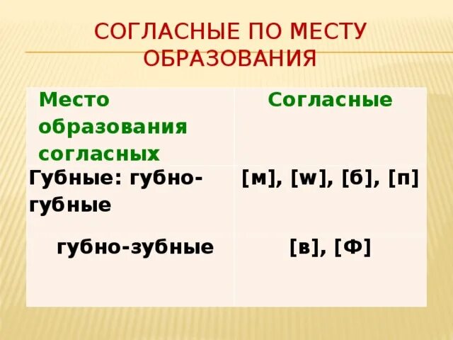 Согласные по месту образования. Образование согласных по месту образования. Группы согласных по месту образования. По месту образования согласные бывают. Звонкие смычные