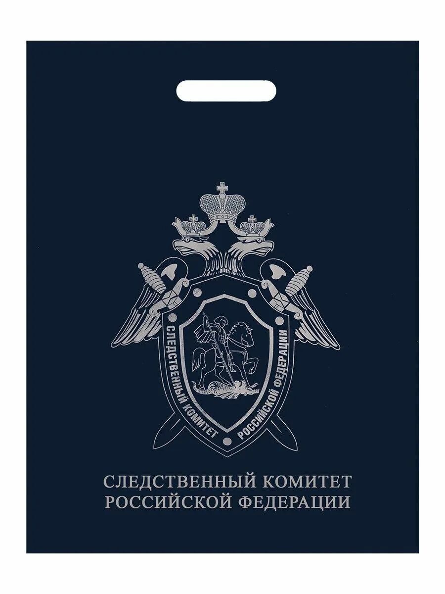 Руководитель следственного отдела княжпогостского района 2013. Значок следственного комитета. Следственный комитет омск. Федулов станислав владимирович следственный комитет. Сотрудники следственного комитета рф.