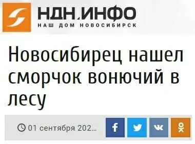 Отключено поделиться