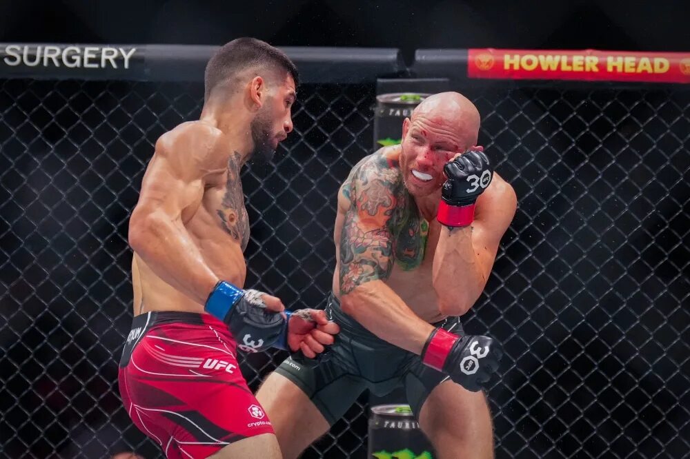 Топурия юфс. Джош уолкер боец. Илия топурия юфс. Уфс. Fight night.