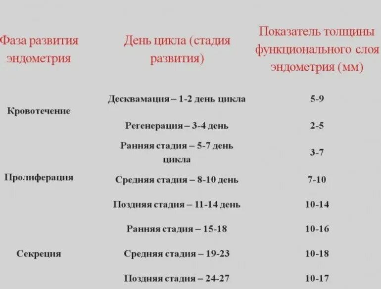 Толщина эндометрии для зачатия. Толщина эндометрия на 9 день цикла норма. Размер эндометрия на 6 день цикла норма. Толщина эндометрия на 10 день цикла норма. Толщина эндометрия по дням цикла норма таблица.