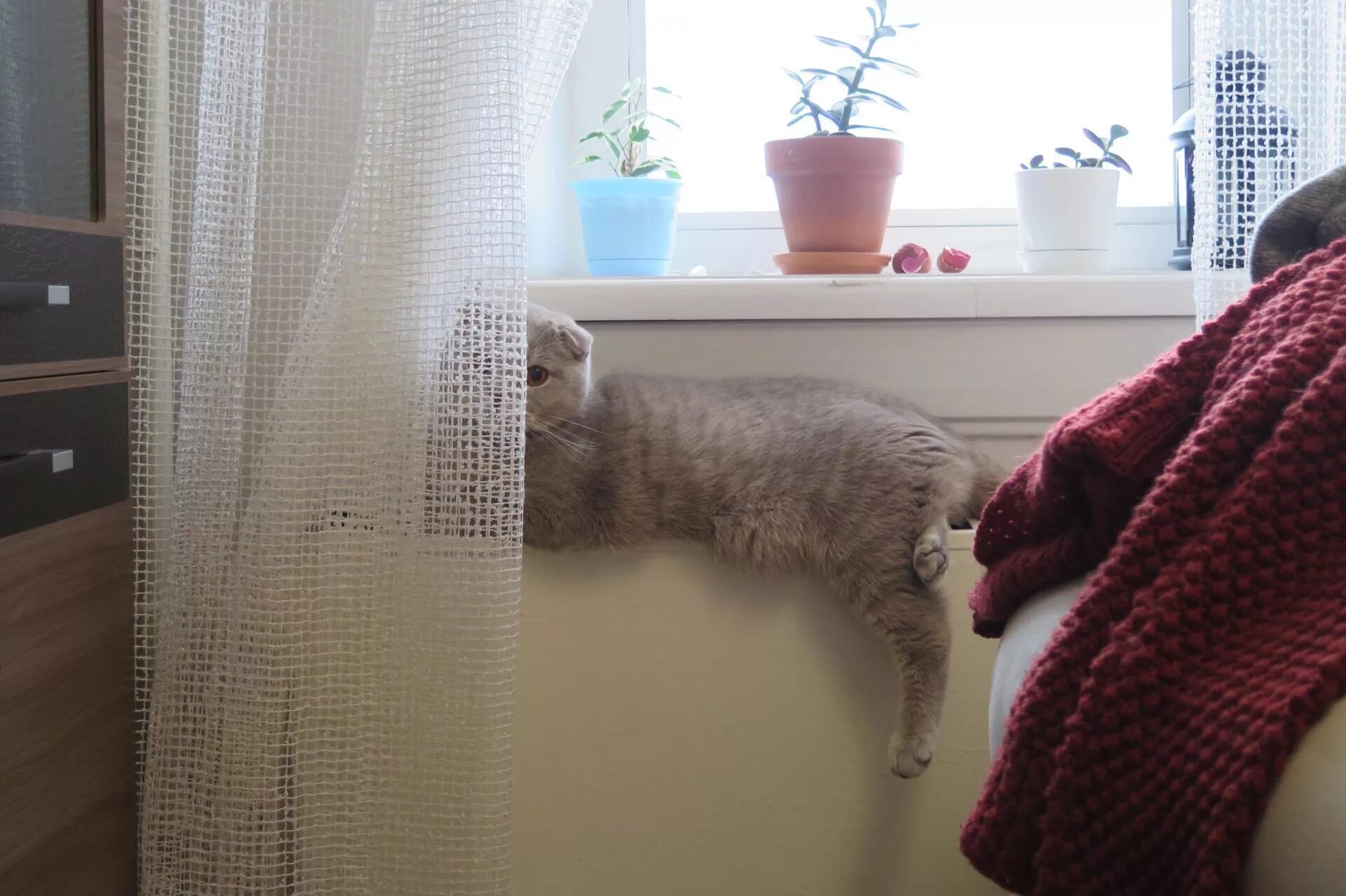 дали отопление в домах липецка