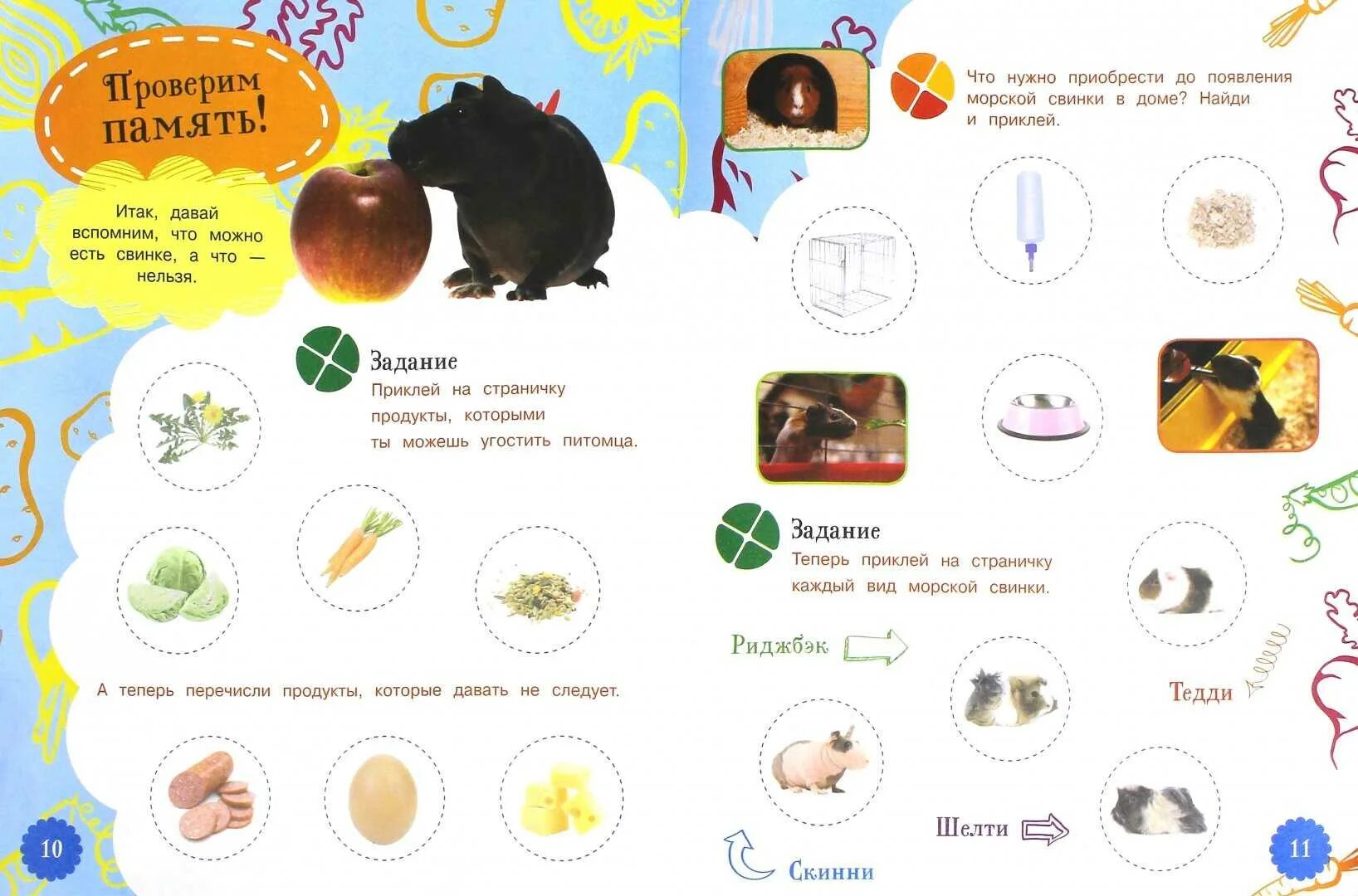 Что можно давать свинке. Пища морской свинки. Рацион питания морской свинки. Разрешенные продукты для морских свинок. Морская Свинка задания для детей.