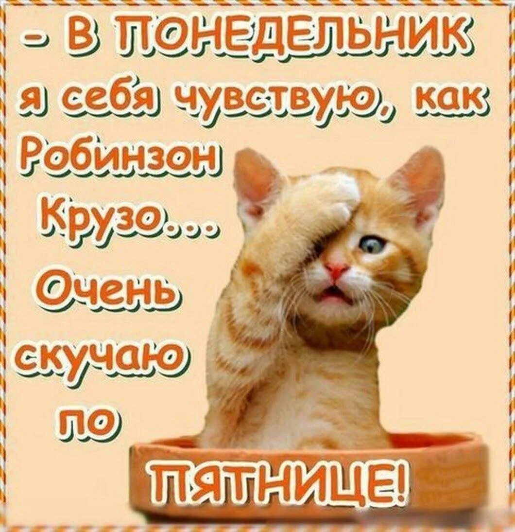 Утро понедельника картинки прикольные. Открытки с понедельником прикольные. Поздравление с понедельником прикольное. С понедельником прикольные пожелания. Открытка с понедельником смешная.