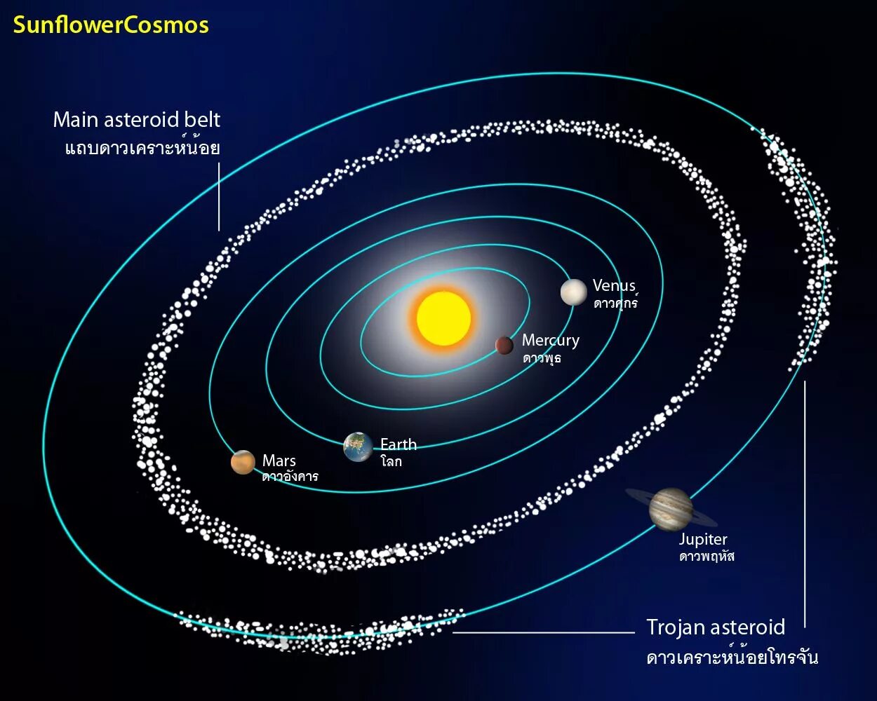Сколько малых планет было открыто ее сотрудниками. Астероидный пояс солнечной системы. Солнечная система пояс астероидов между Марсом. Пояса астероидов в солнечной системе схема. Главный пояс астероидов солнечной системы.