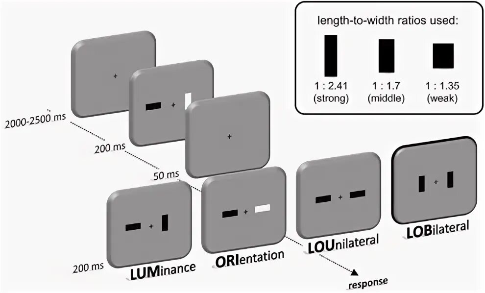 Width ratio. Length -to-width ratio 2.