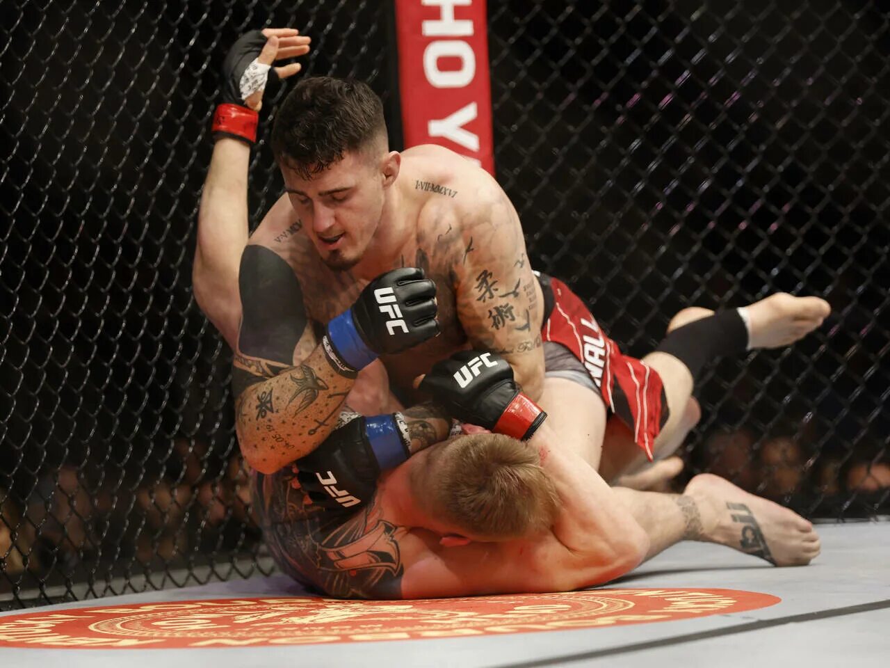 Мма файтерс. Александр волков ufc бой. боец мма александр волков. александр волков том аспиналл.