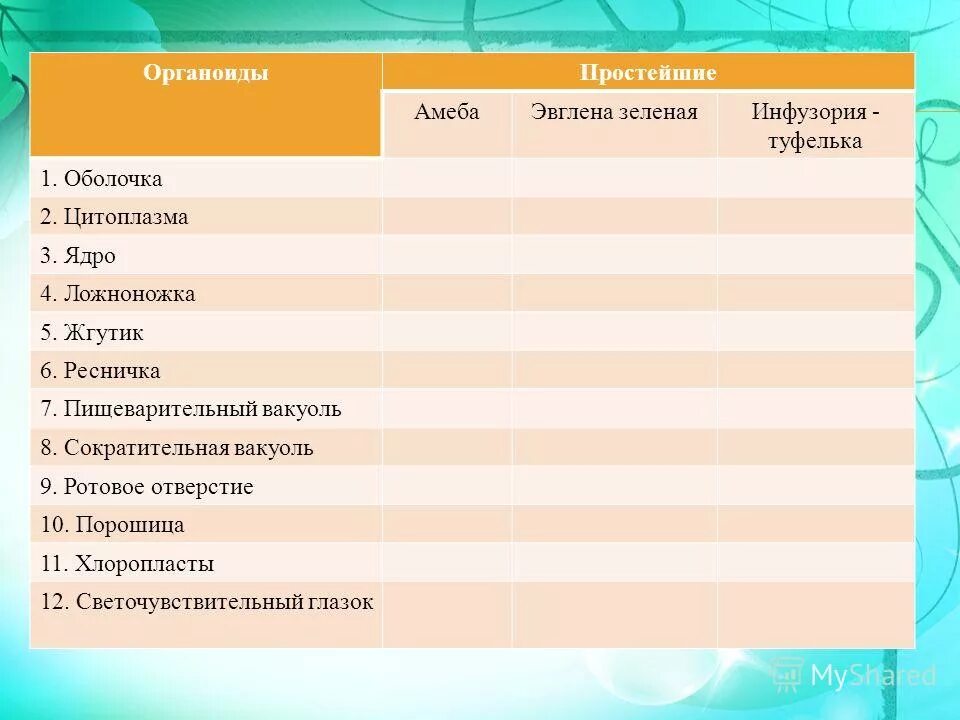 Таблица амеба эвглена инфузория туфелька по биологии 7. Сравнительная таблица амеба эвглена зеленая инфузория туфелька. Сравнительная таблица амебы эвглены и инфузории. Таблица эвглена зеленая амёба и инфузория.