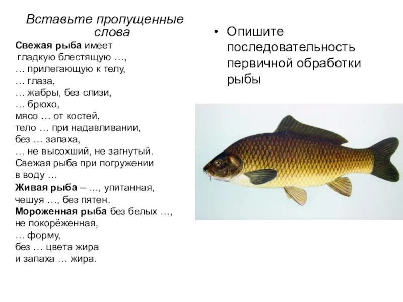 Словосочетание с словом рыба. Слово рыба. Предложение со словом рыба. Форма слова рыба. Словосочетание со словами рыбы-рыбы.