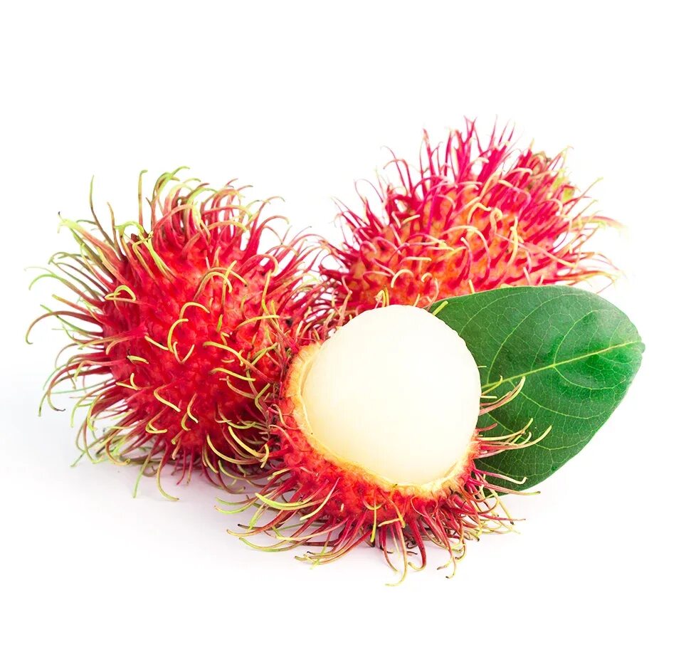 Рамбутан гнилой. Рамбутан карамбола. Экзотические фрукты на белом фоне. Rambutan fz capcat. Rambutan fz capcat.