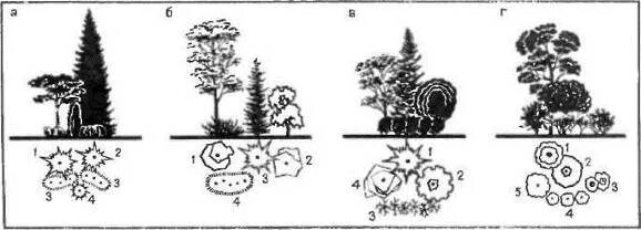 Древесно-кустарниковые композиции схемы. Композиция из деревьев и кустарников схема. Группа из деревьев и кустарников. Групповая посадка деревьев. Группа деревьев 7