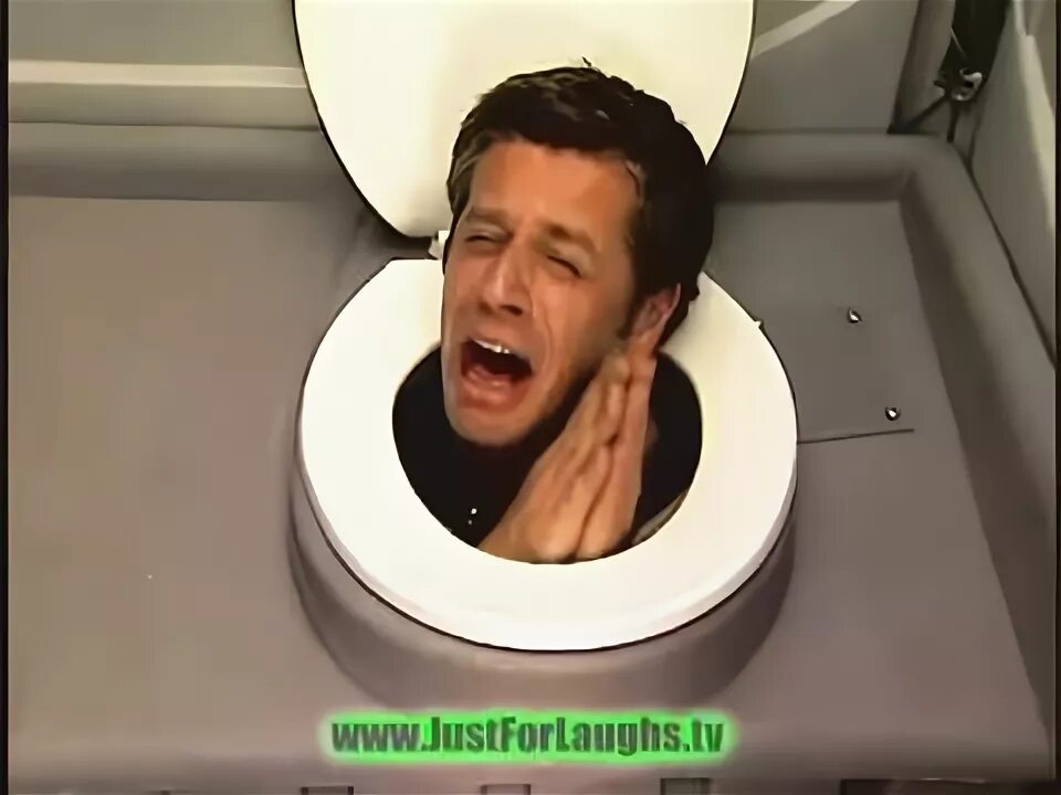 Где унитазы головы. Где унитазы головы